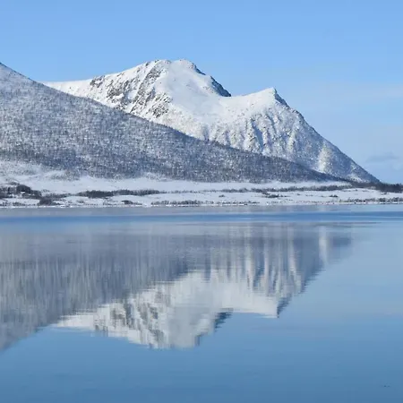 Hjerterom I Andoy