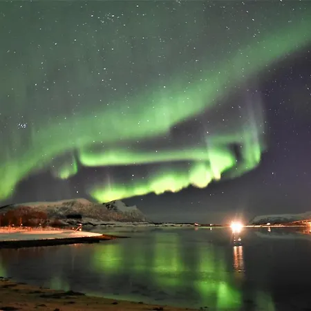 Hjerterom I Andøy Feriehus