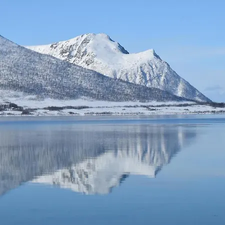 Hjerterom I Andøy